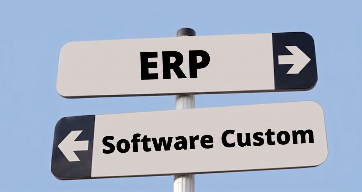 ERP vs. Software Custom: Mana yang Tepat untuk Perusahaan Anda?